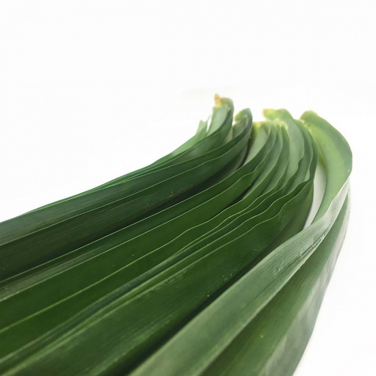 Lá dứa (lá nếp) sạch, an toàn